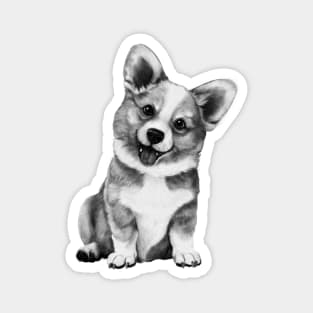 Corgi pup Magnet