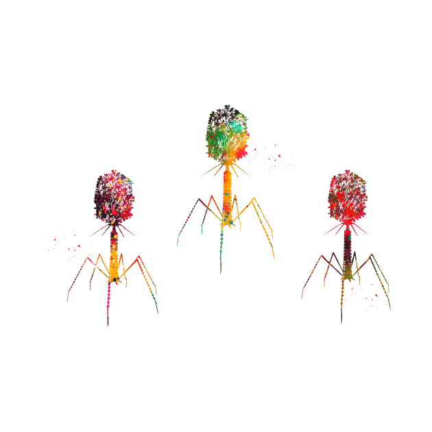 Bacteriophage by erzebeth