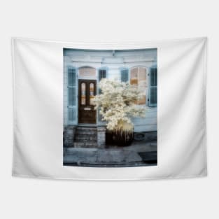 Shotgun Home Facade Infrared Tapestry