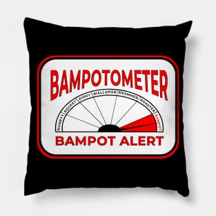 Scottish Bampot Detector Pillow