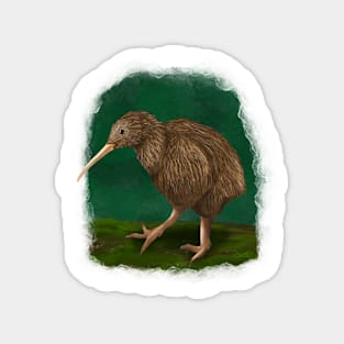 Brown Kiwi Magnet