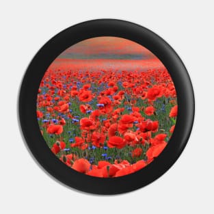 Red Poppies All Around Pin