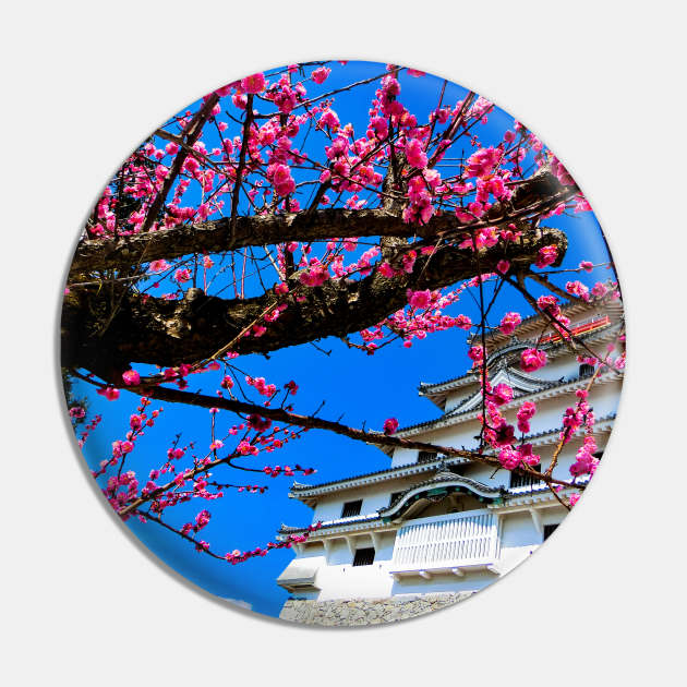 Photography - Spring in Japan Pin by Karoのkyuuto