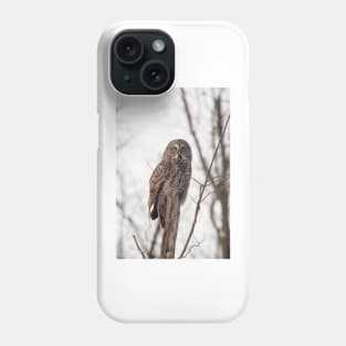 Great Grey Owl in winter Phone Case