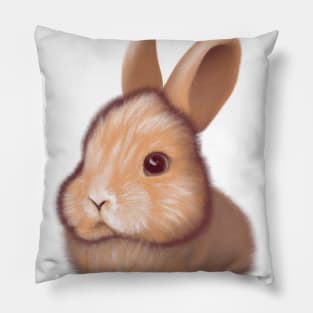 Cute Rabbit Drawing Pillow