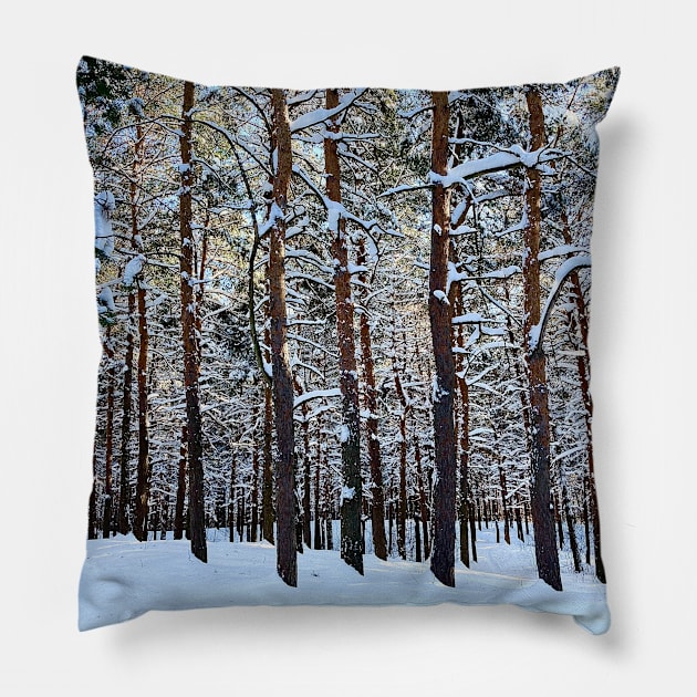 View at the Sormovsky Park in Nizhny Novgorod with pine trees, trunks, snow, crowns Pillow by KristinaDrozd