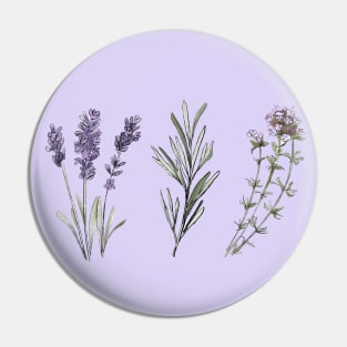 Provencal herbs Pin