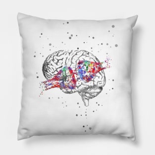 Synapse receptor and brain Pillow