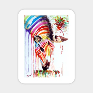 Rainbow Zebra Magnet