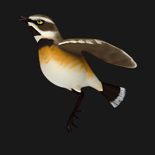 Winchat Bird T-Shirt