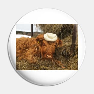 Scottish Highland Cattle Calf 1945 Pin