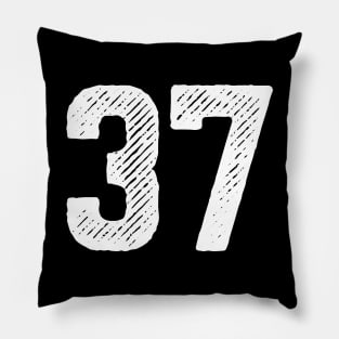 Rough Number 37 Pillow