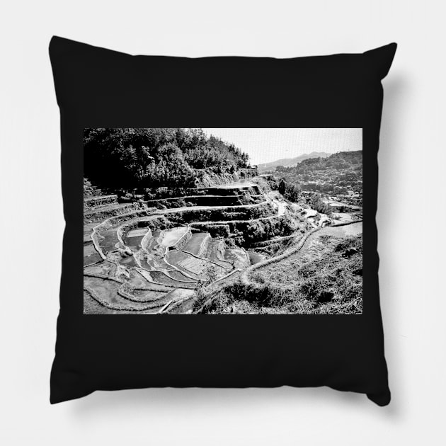 Rizières en terrasse de Banaue, Philippines Pillow by franck380