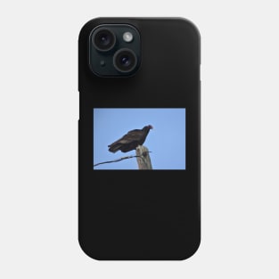 Turkey Vulture Phone Case