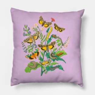 BUTTERFLIES Pillow