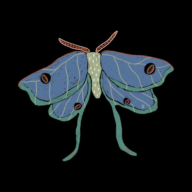 Luna moth by flywithsparrows