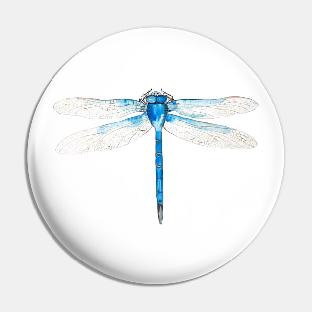 blue dragonfly painting Pin by colorandcolor