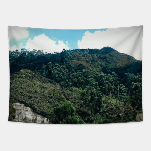 Bogota, Andes Mountains Tapestry by Tess Salazar Espinoza