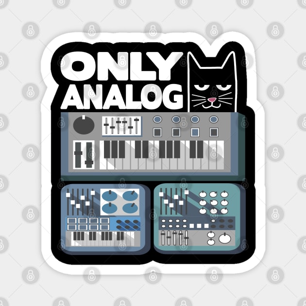 Only Analog Cat Modular Synthesizer Synth Drum Magnet by Kuehni