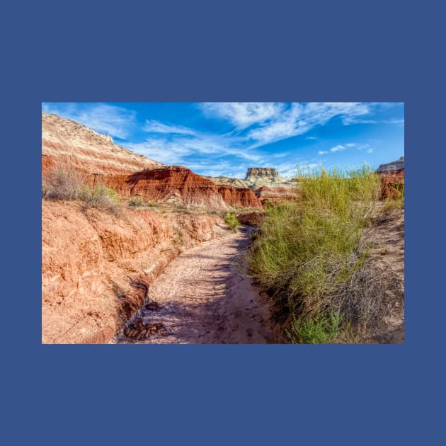 Follow the Wash - Toadstool Trail - Utah by Debra Martz