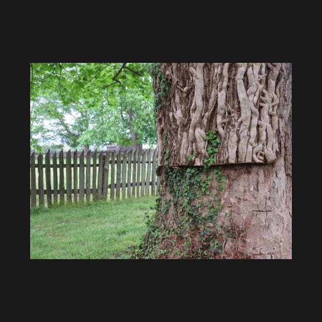 A tree and a fence by ToniaDelozier