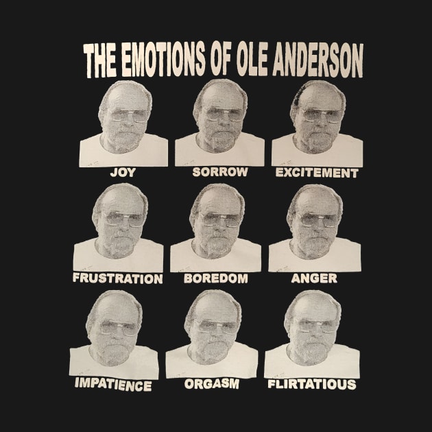 ole anderson emotion by limdaebum