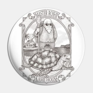 MASTER OF THE TURTLE HOUSE - lines Pin