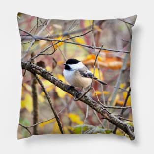 Black-capped Chickadee Perched On A Branch Pillow