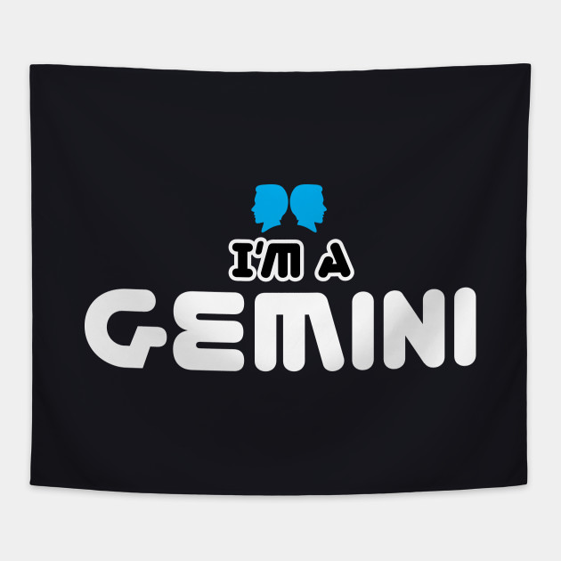 im a gemini