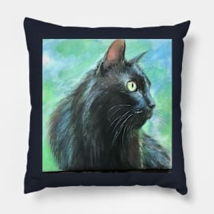 A Black Cat on a Bright Day Pillow