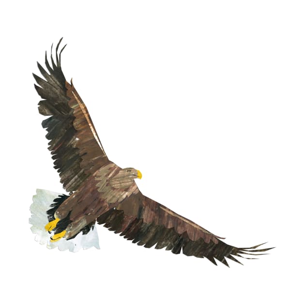 Eagle Soaring by Babban Gaelg