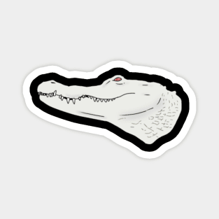 Albino Alligator Magnet