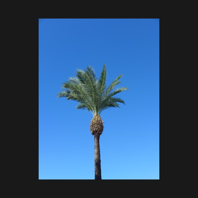 Single Palm Tree with Blue Sky2 by Sandraartist