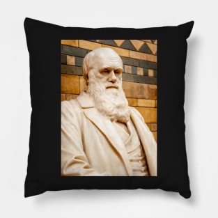 Darwin Pillow