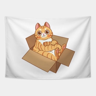 Tabby cat in the box Tapestry