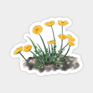 Desert Marigolds Magnet