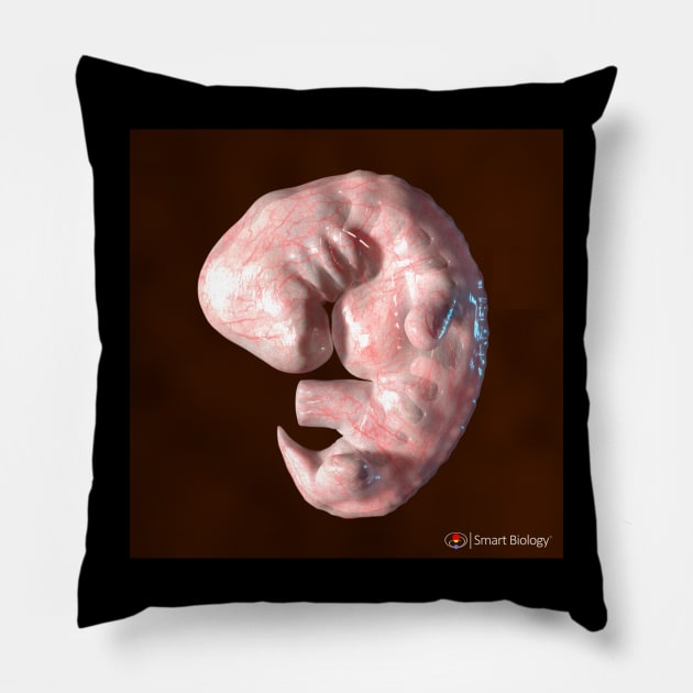 Human Embryo Pillow by Smart Biology