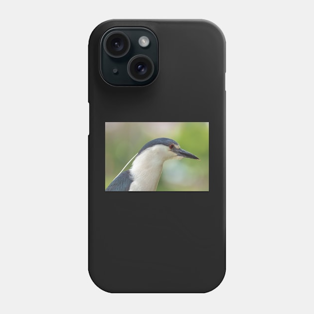 Heron Portrait Phone Case by jvnimages