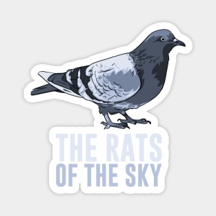 Pigeons, Rats of the Sky Magnet