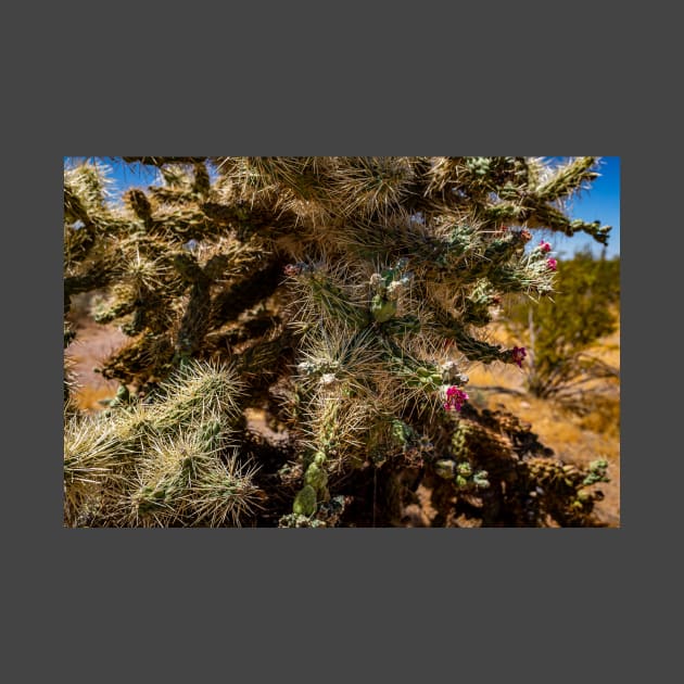 Cholla Cactus along the Apache Trail by Gestalt Imagery