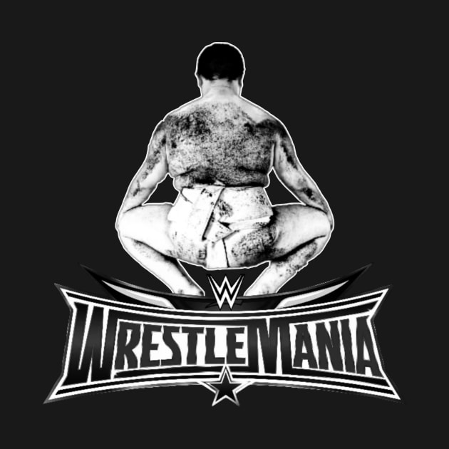 japanese sumo : wrestlemania by valentinewords