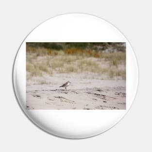 The Dotterel Pin