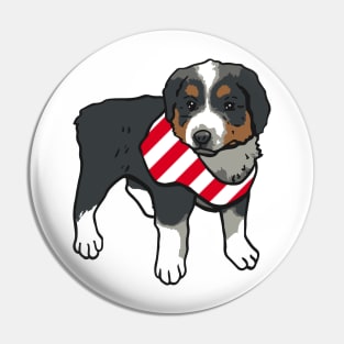 Australian Shepperd Dog Pin