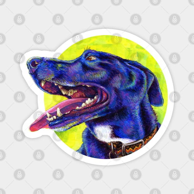 Jubilation Colorful Black Lab Dog Magnet by rebeccawangart