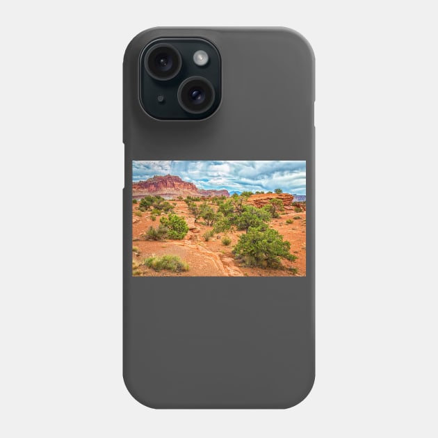 Capitol Reef National Park Phone Case by Gestalt Imagery