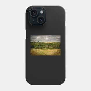 Abandoned Farm in Woodland - Baglan/ Briton Ferry - 2013 Phone Case