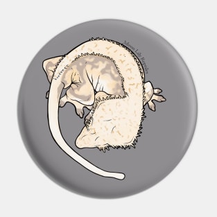 Grayson Line, Large Crested Gecko - Chai Pin