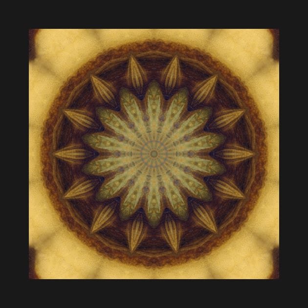 Mandalisa Kaleidoscope [textures] Pattern (Seamless) 17 by Swabcraft