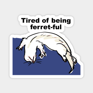 Ferret ful pet Magnet