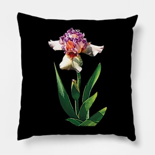 Irises - Iris "Cut Above" Pillow